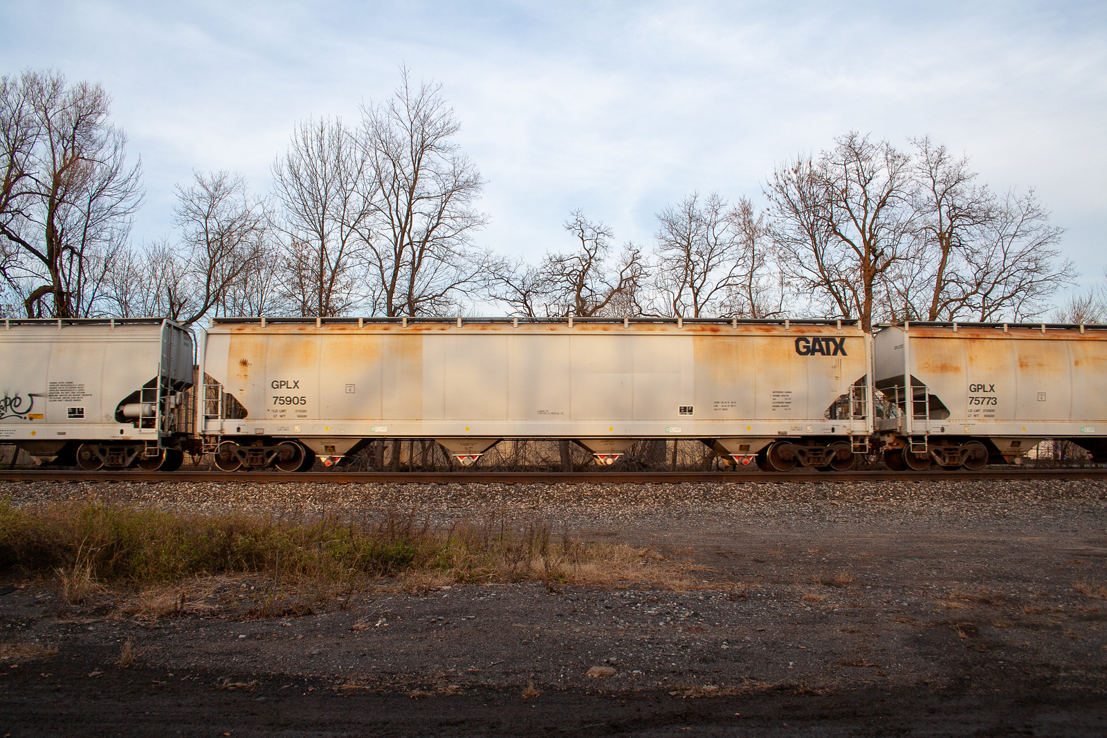 GPLX 75905