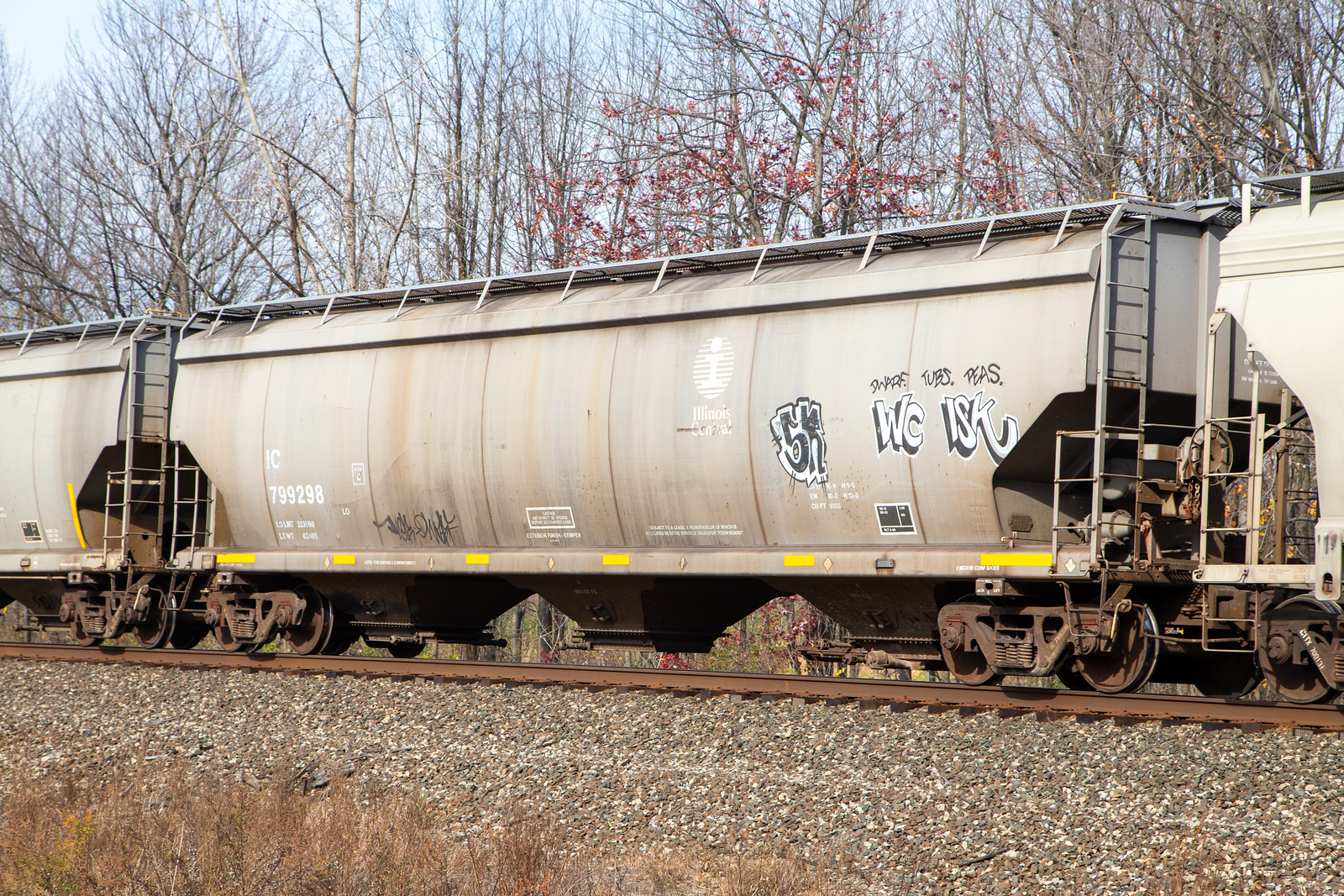 IC 799298