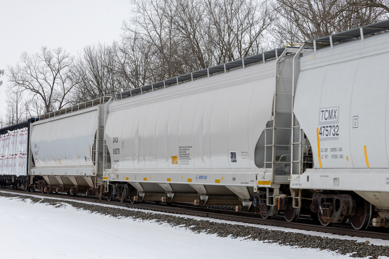 CPCX 816278