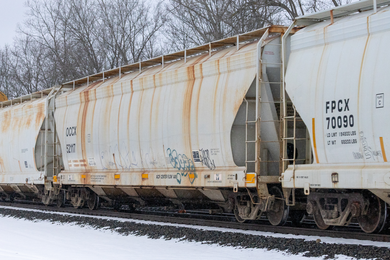 OCCX 52117
