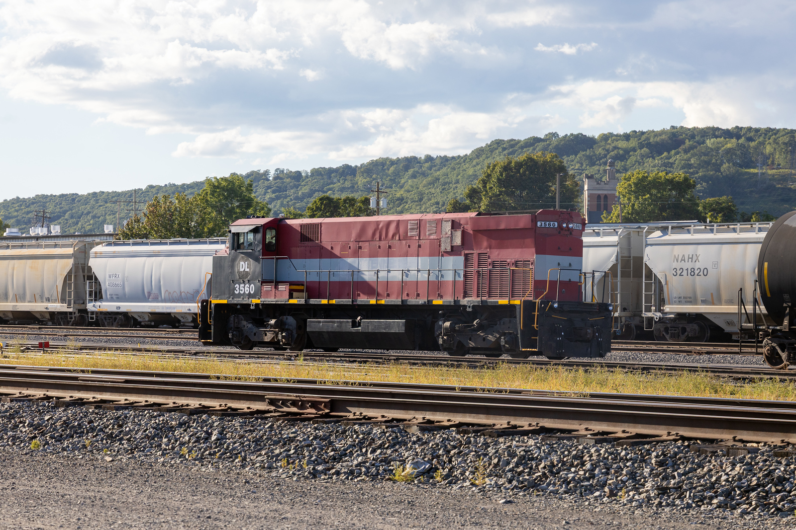 DL 3560
