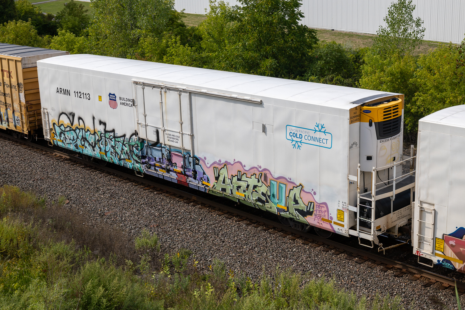 ARMN 112113