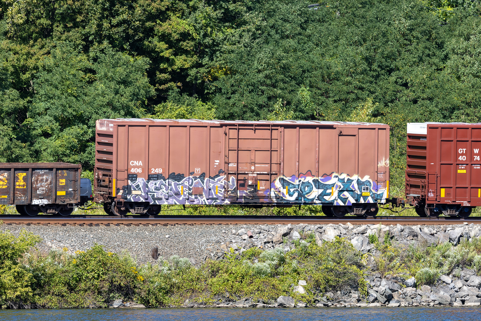 CNA 406249