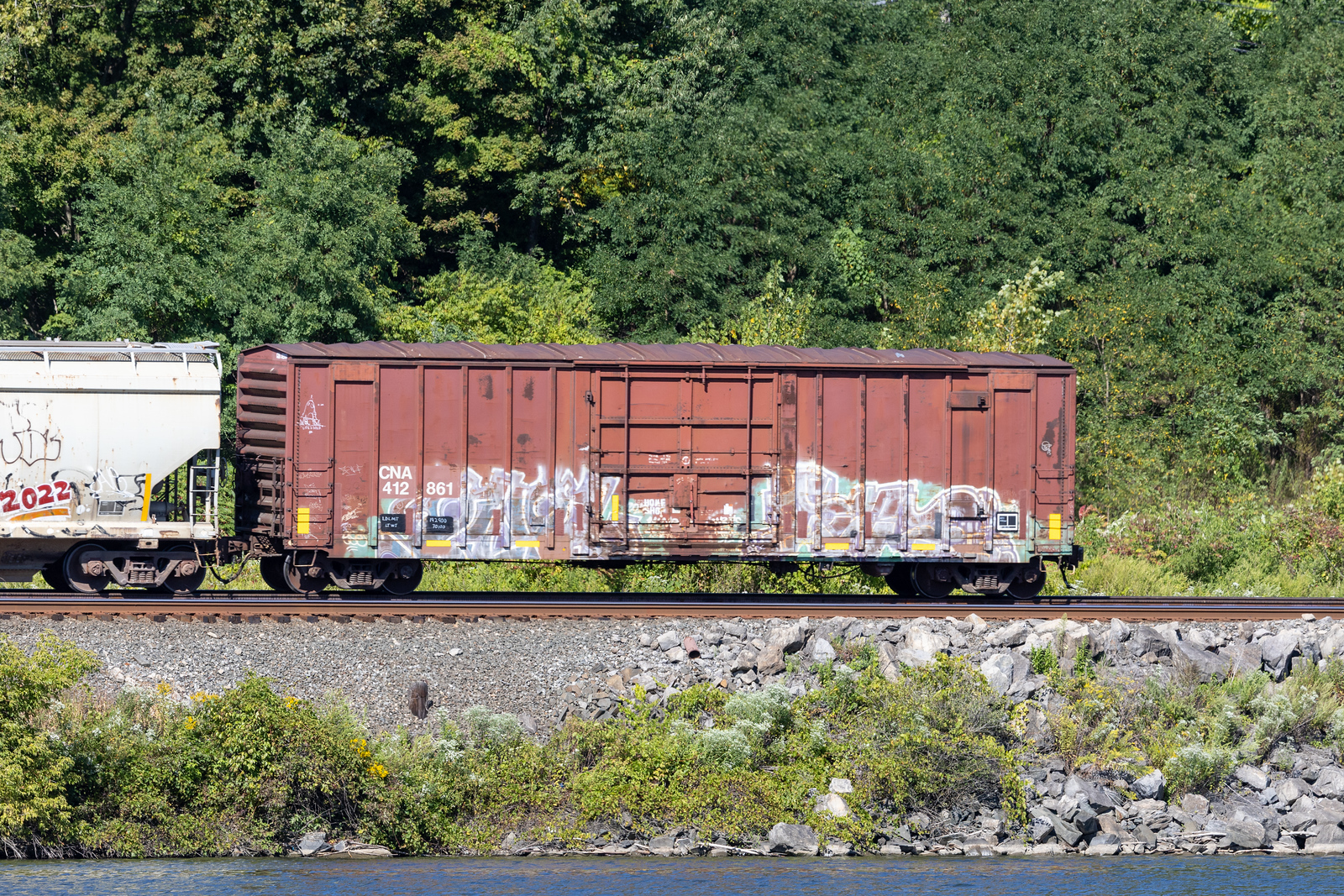 CNA 412861