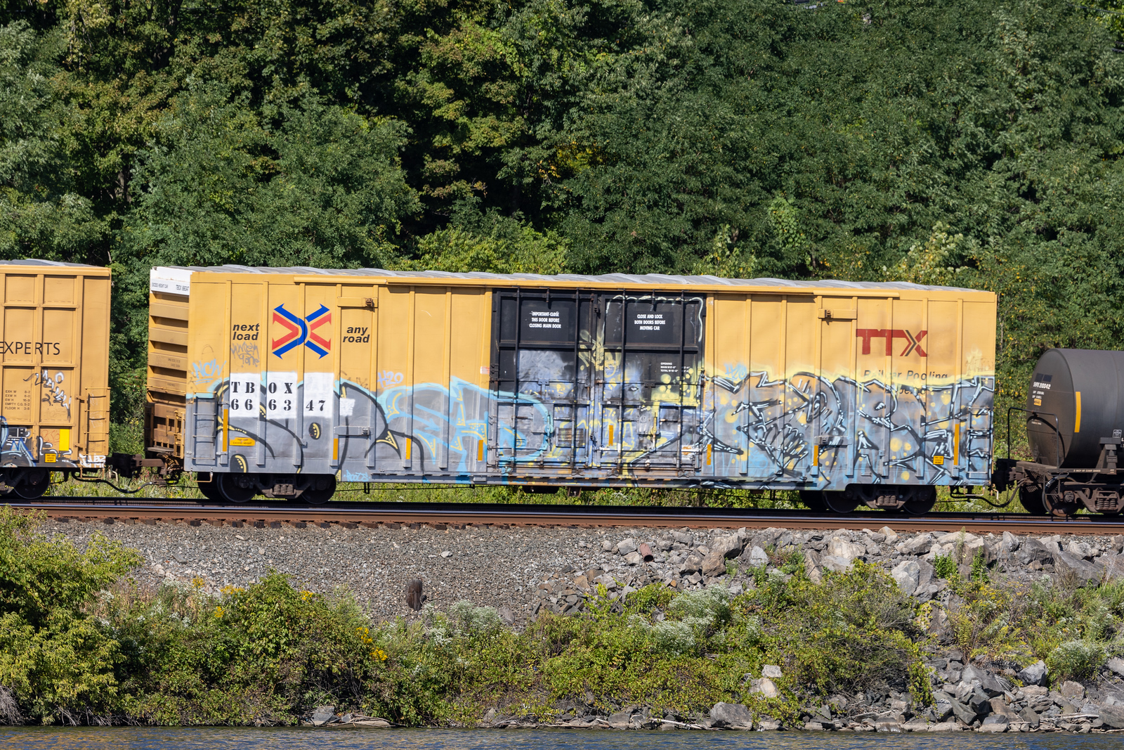 TBOX 666347