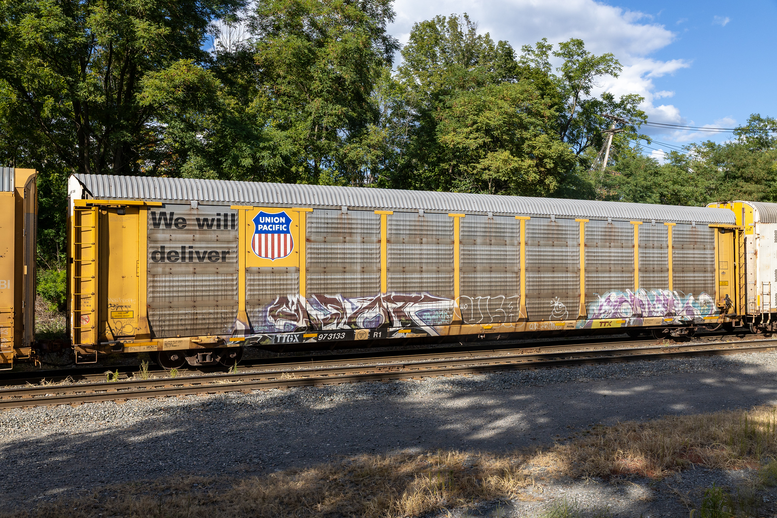 TTGX 973133