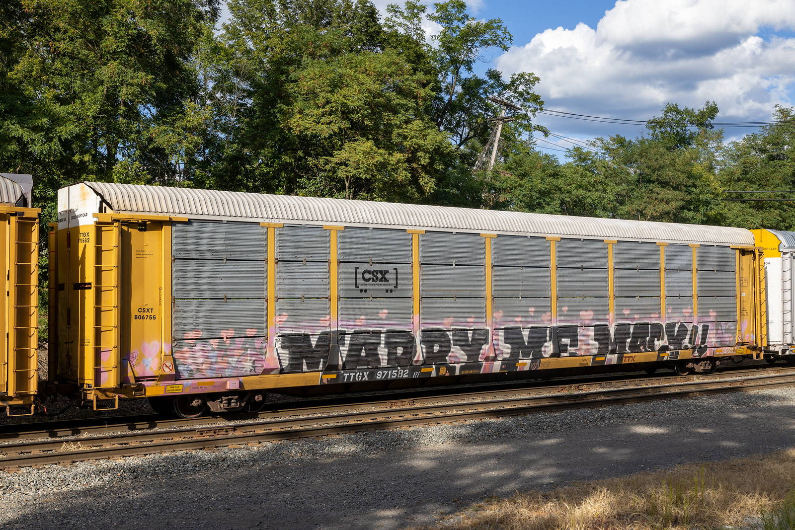 TTGX 971582