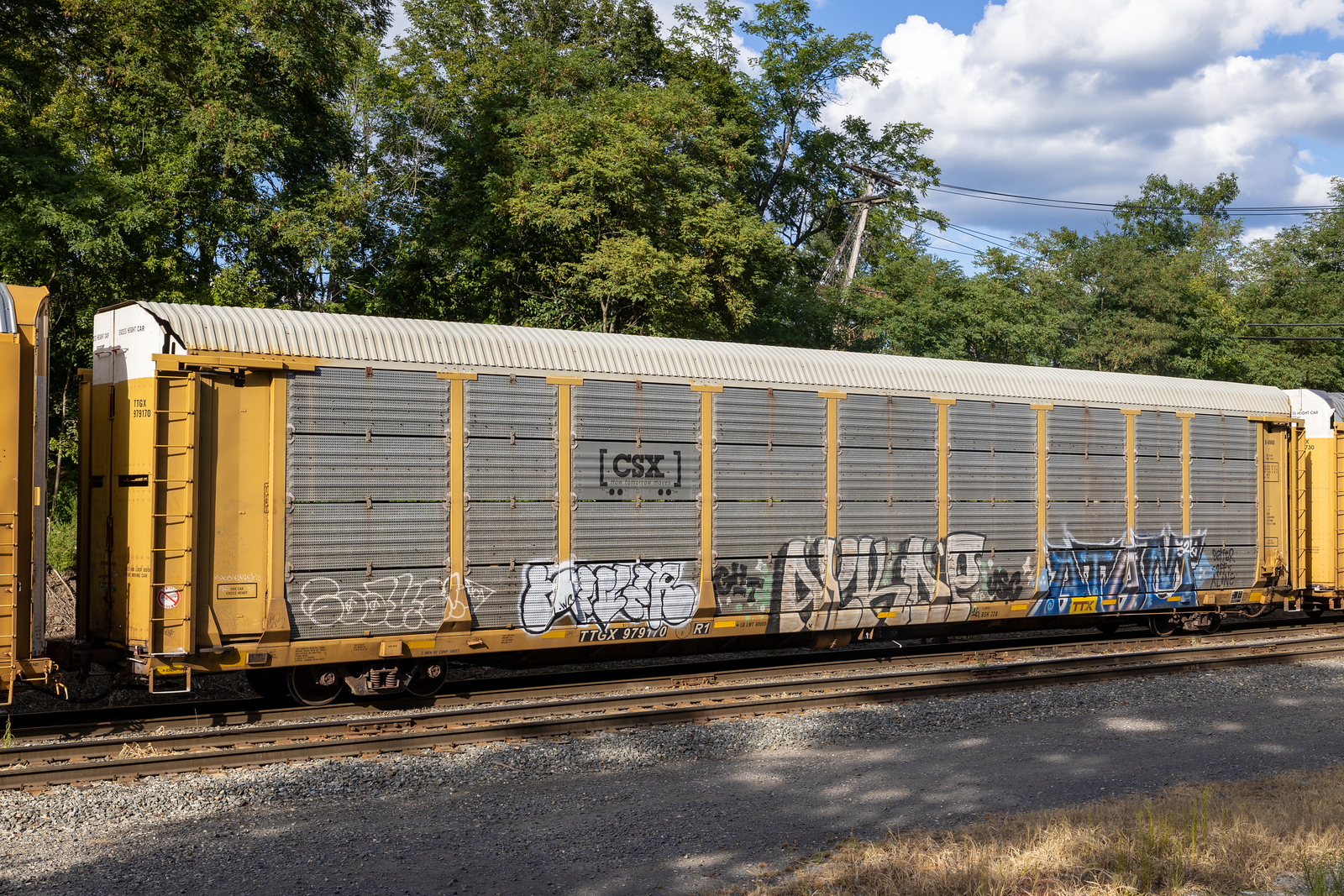 TTGX 979170