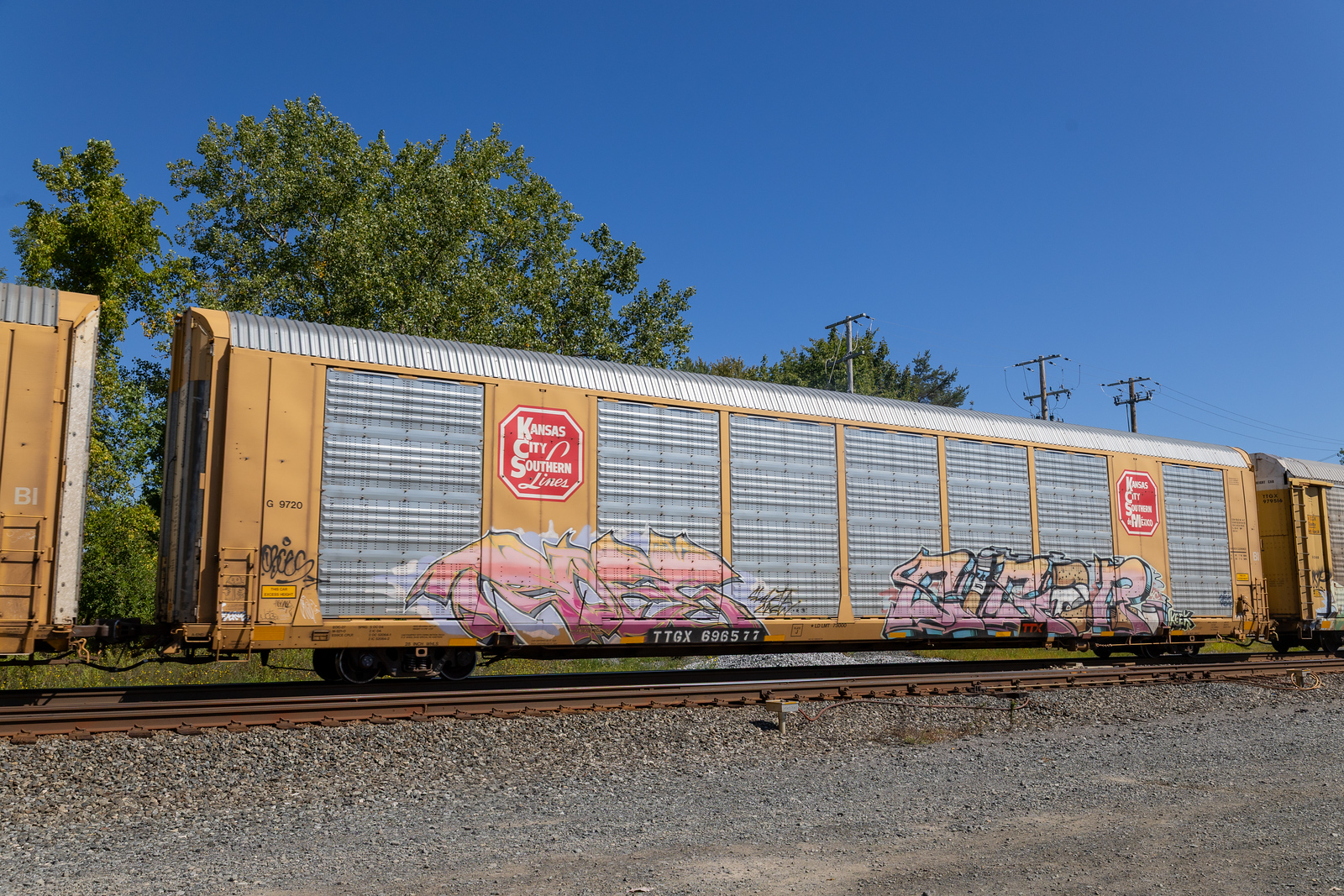 TTGX 696577