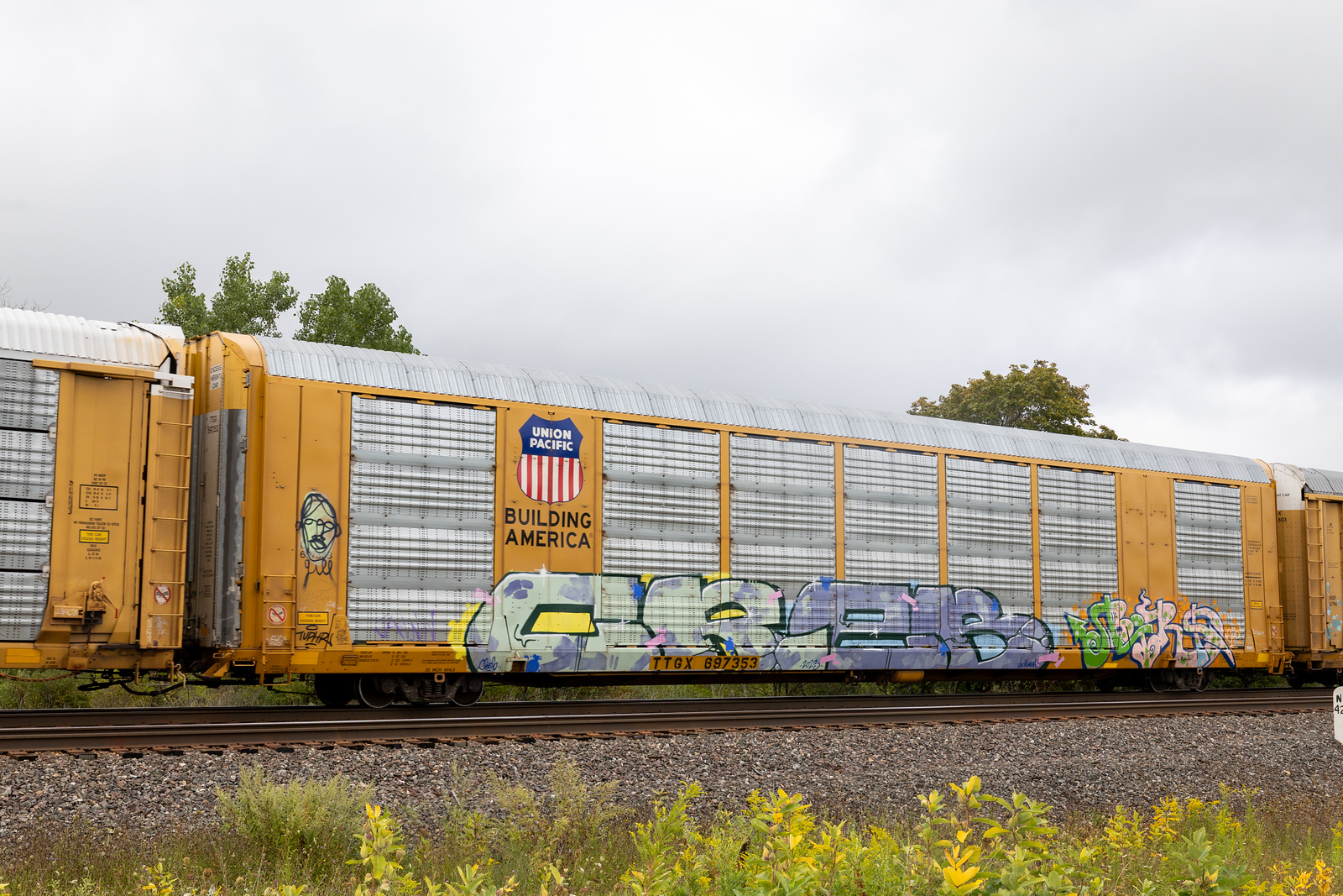 TTGX 697353