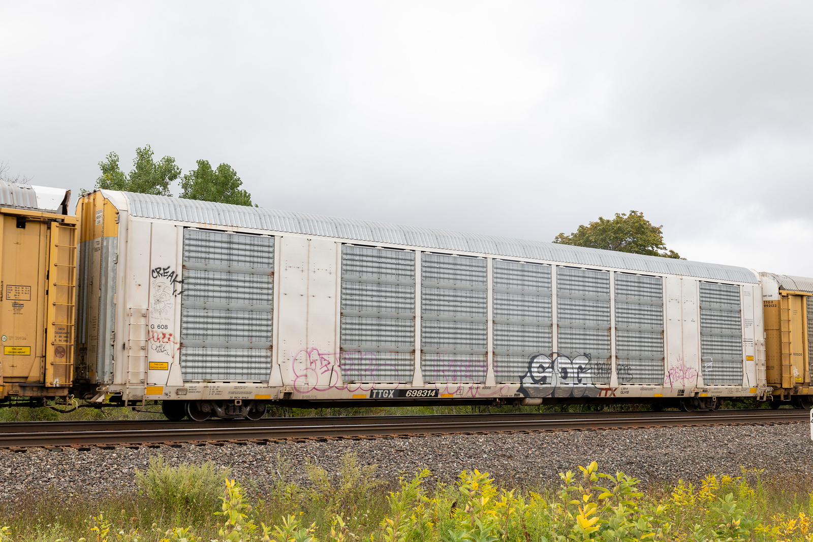 TTGX 698314