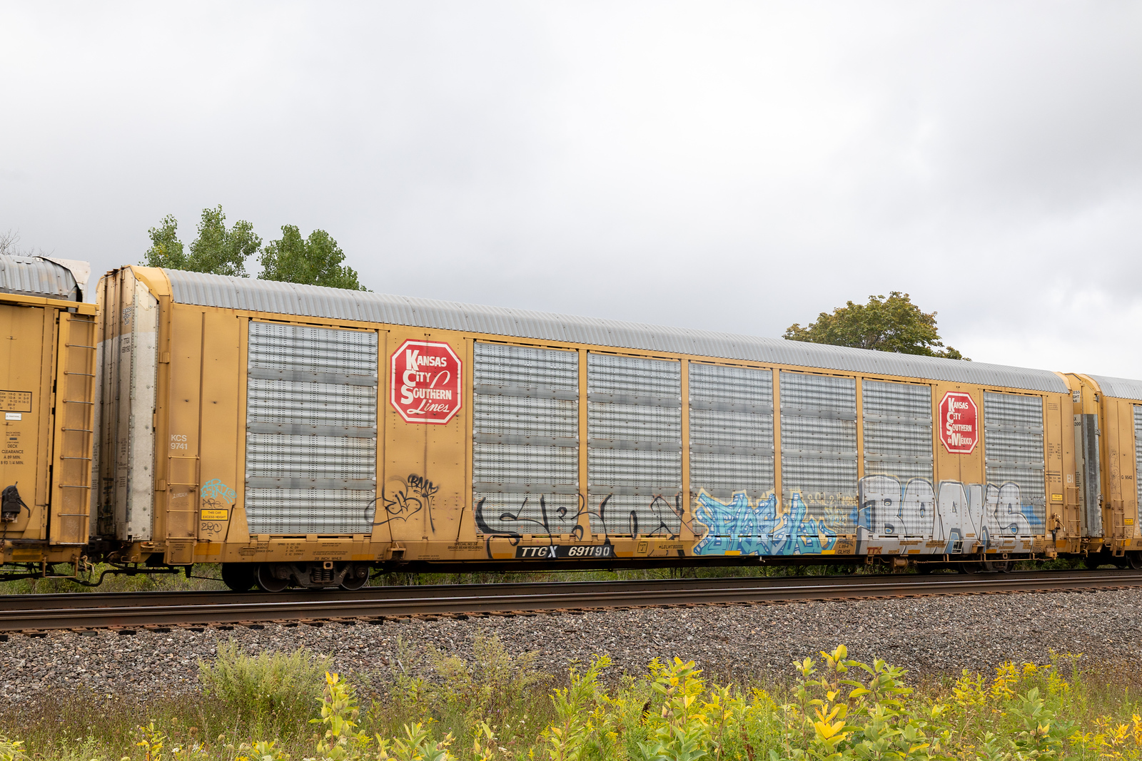 TTGX 691190