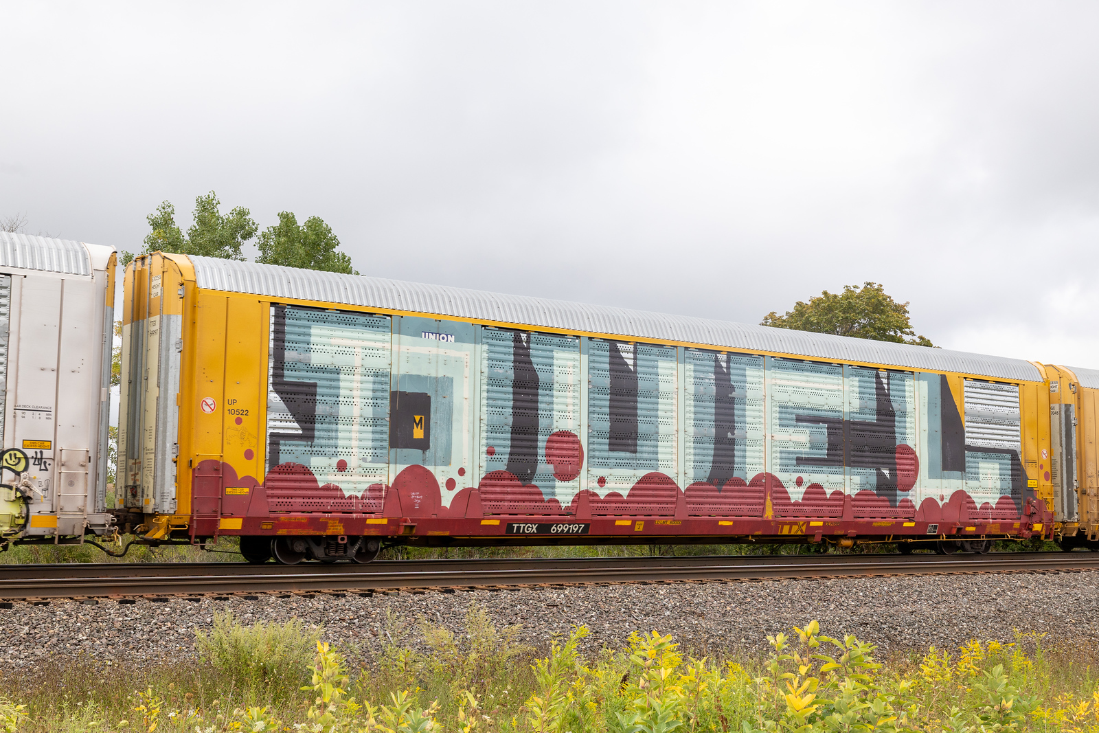 TTGX 699197