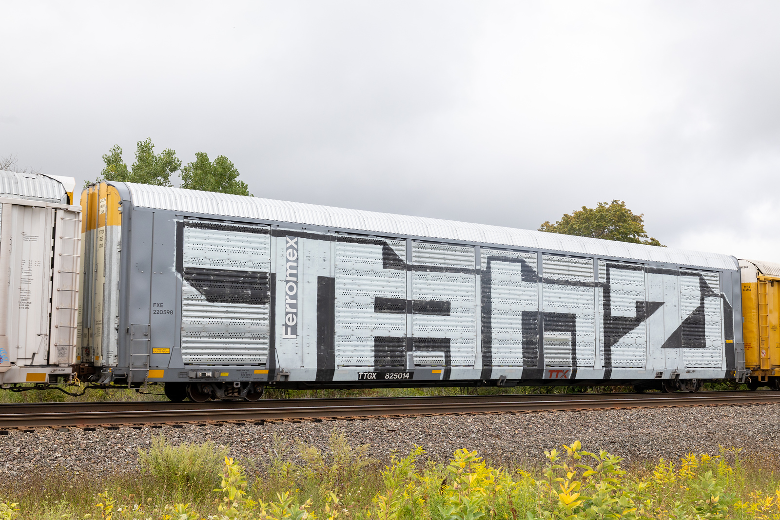 TTGX 825014