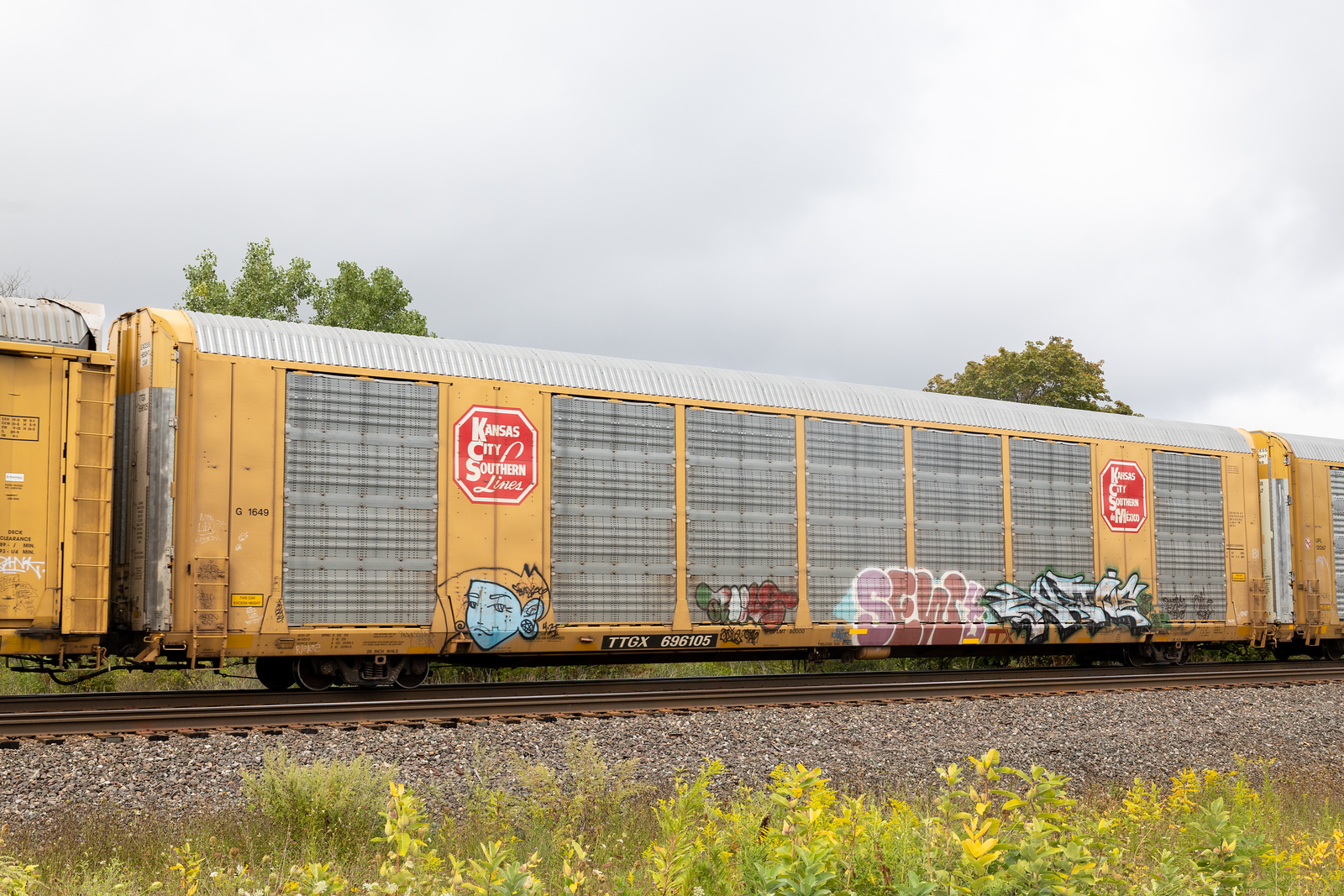 TTGX 696105