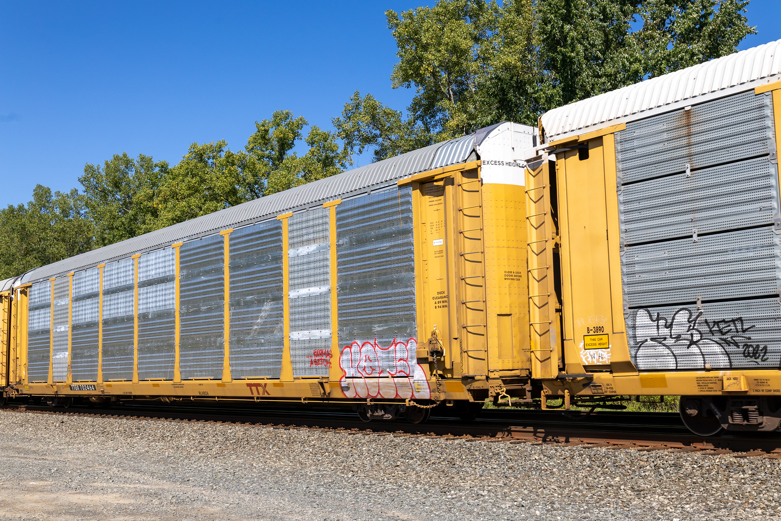 TTGX 702464