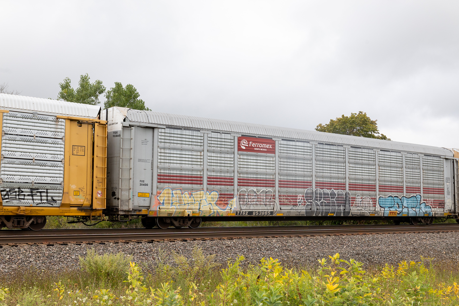 TTGX 953865
