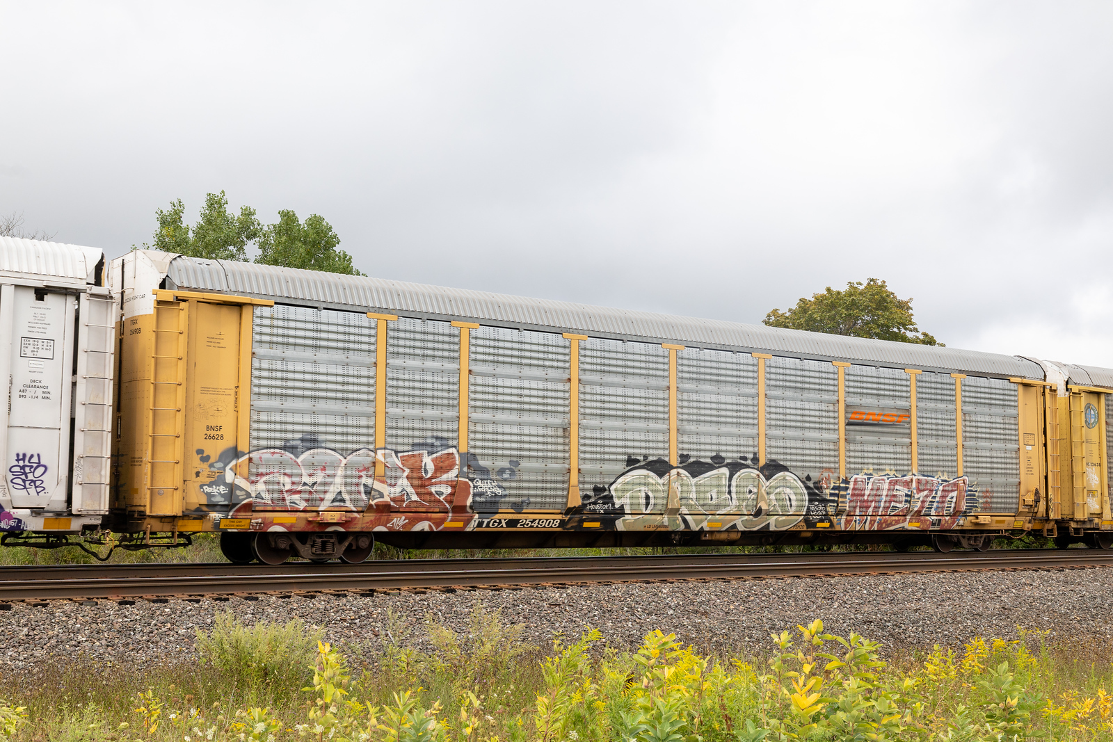 TTGX 254908