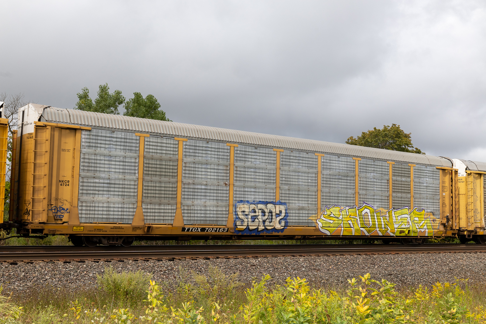 TTGX 702163
