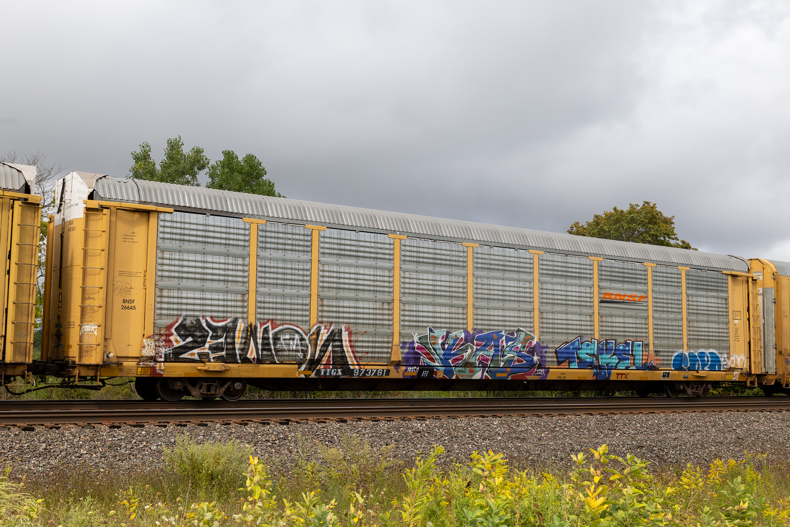 TTGX 973761