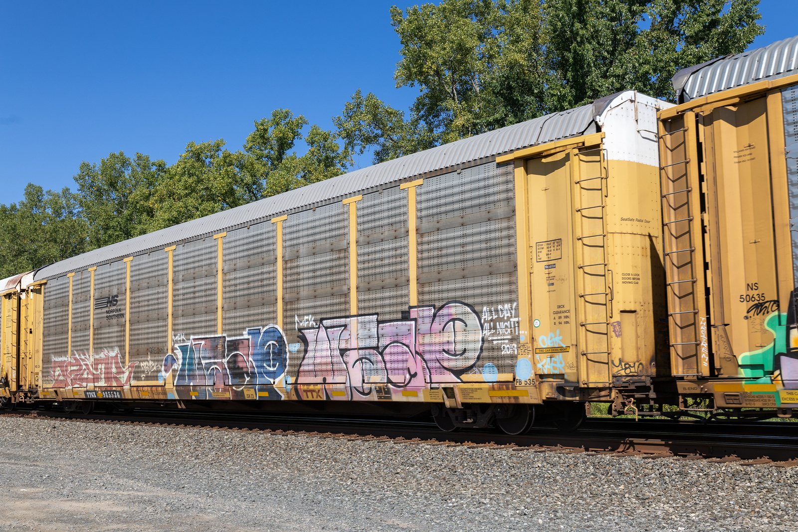 TTGX 985536