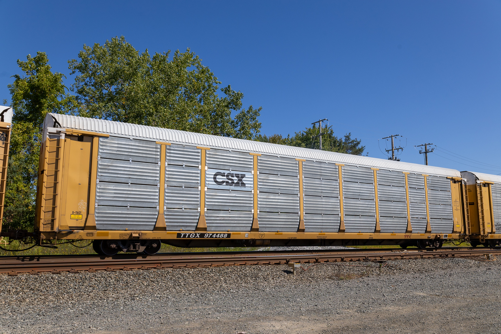 TTGX 974488