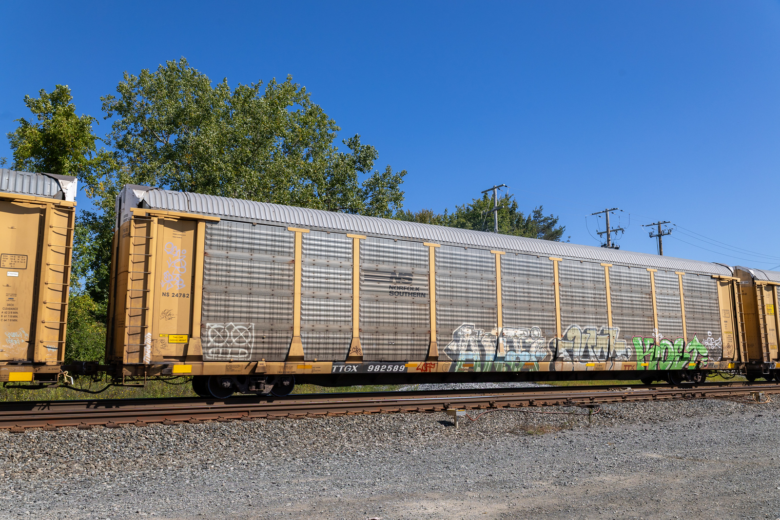 TTGX 982589