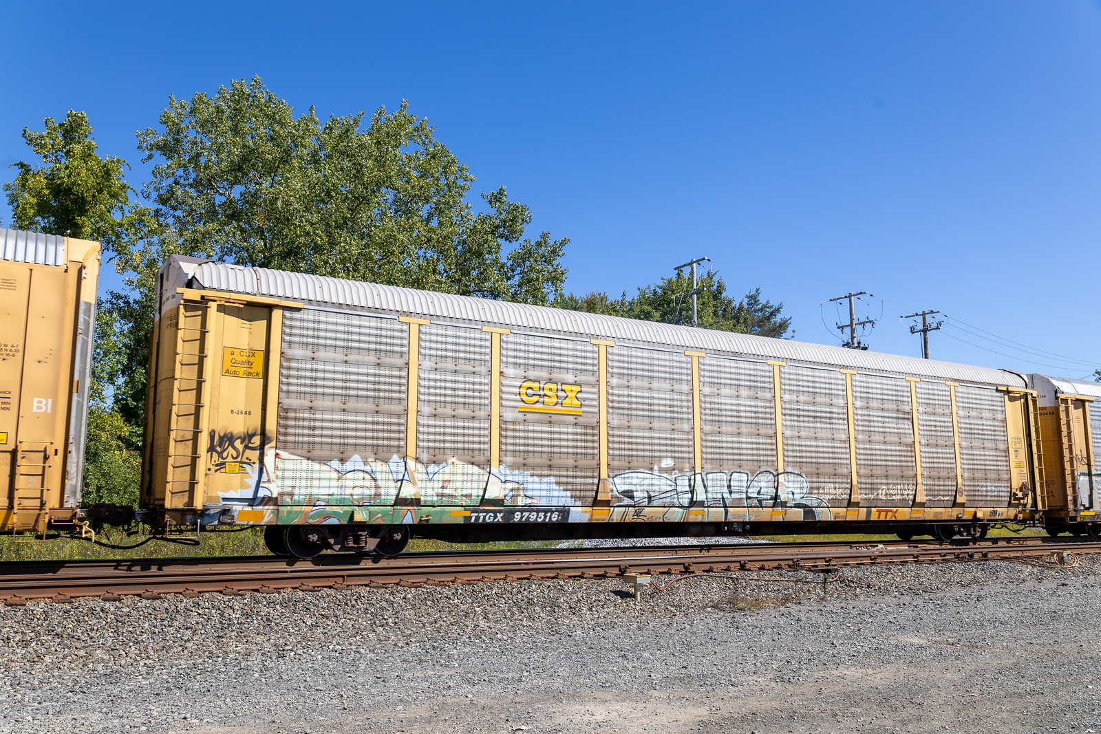 TTGX 979516