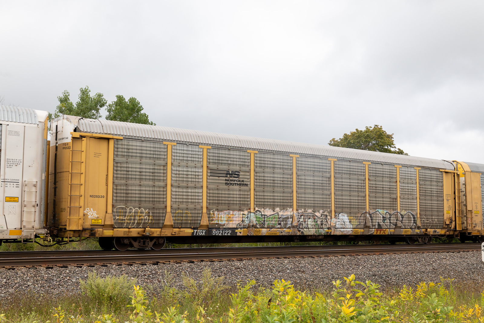 TTGX 992122