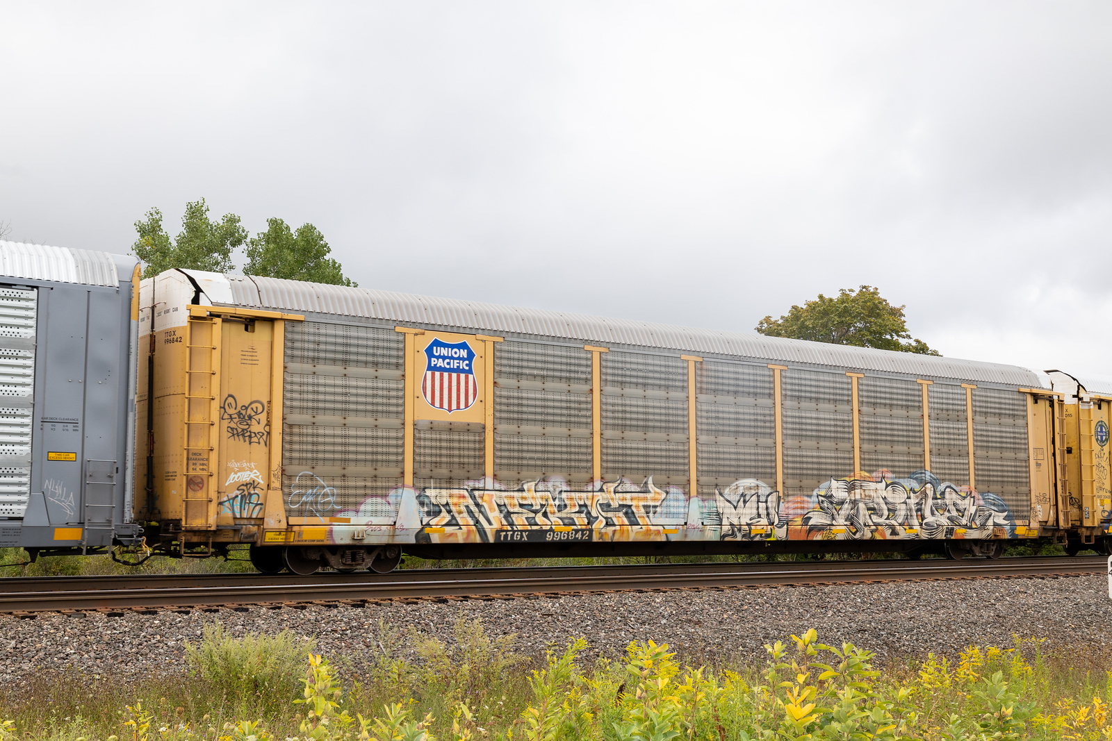 TTGX 996842