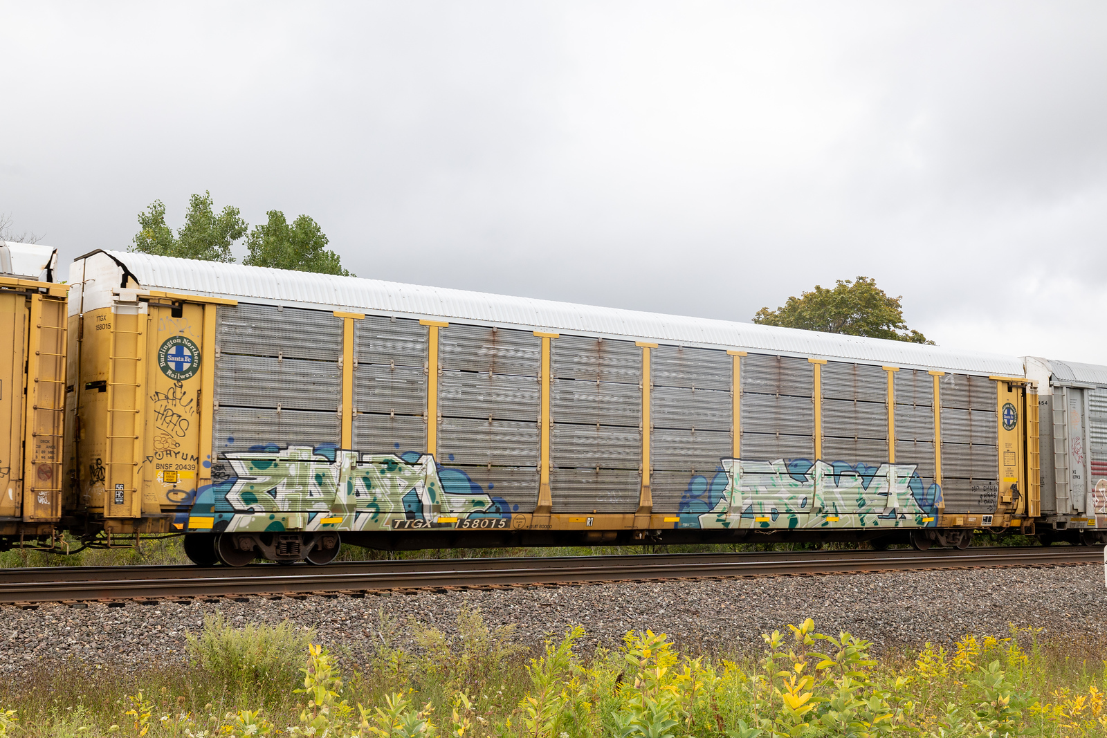 TTGX 158015