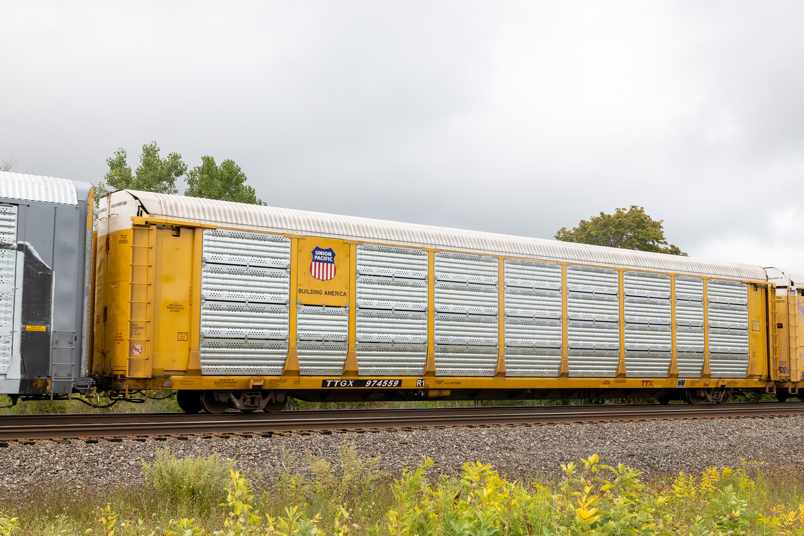 TTGX 974559