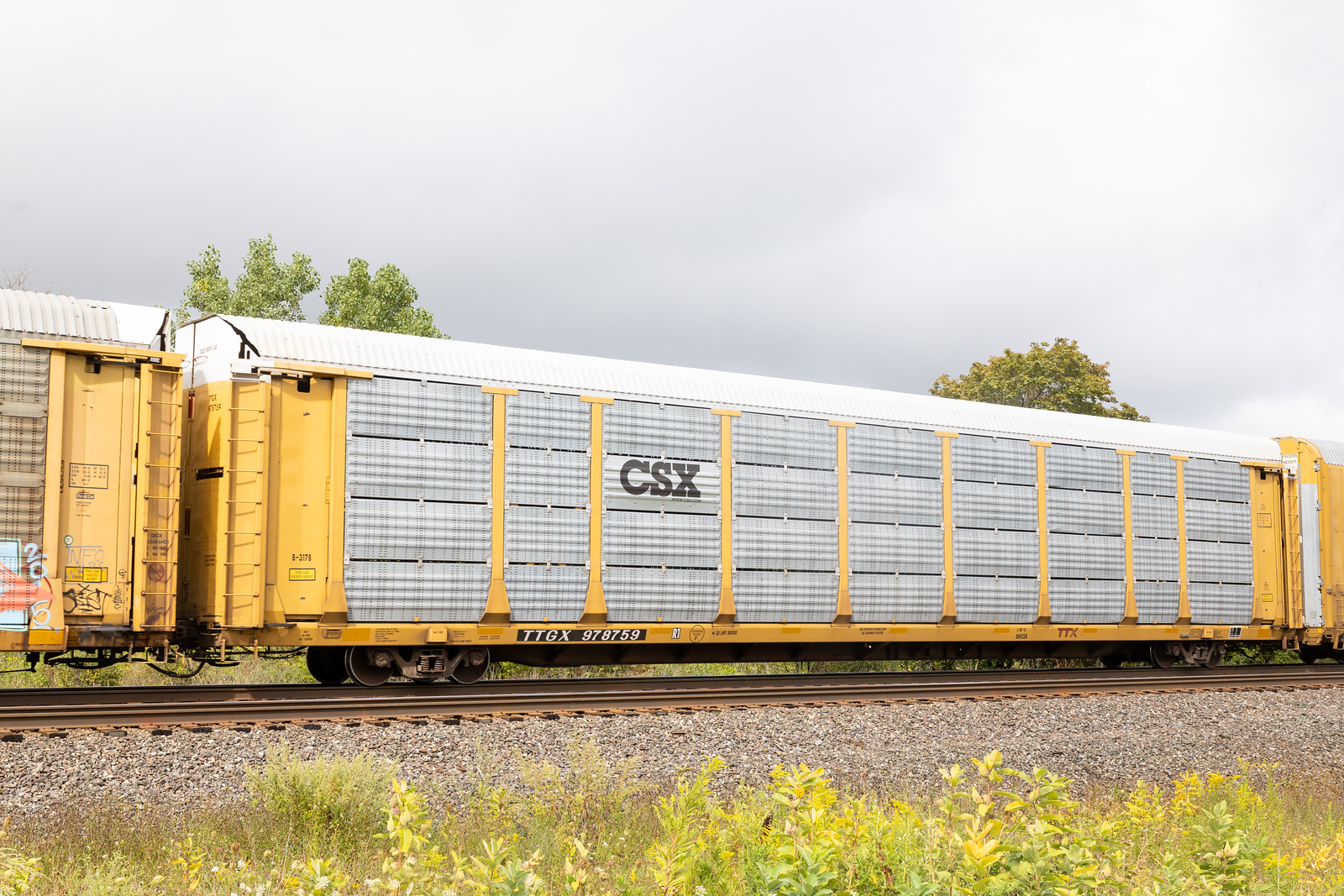 TTGX 978759