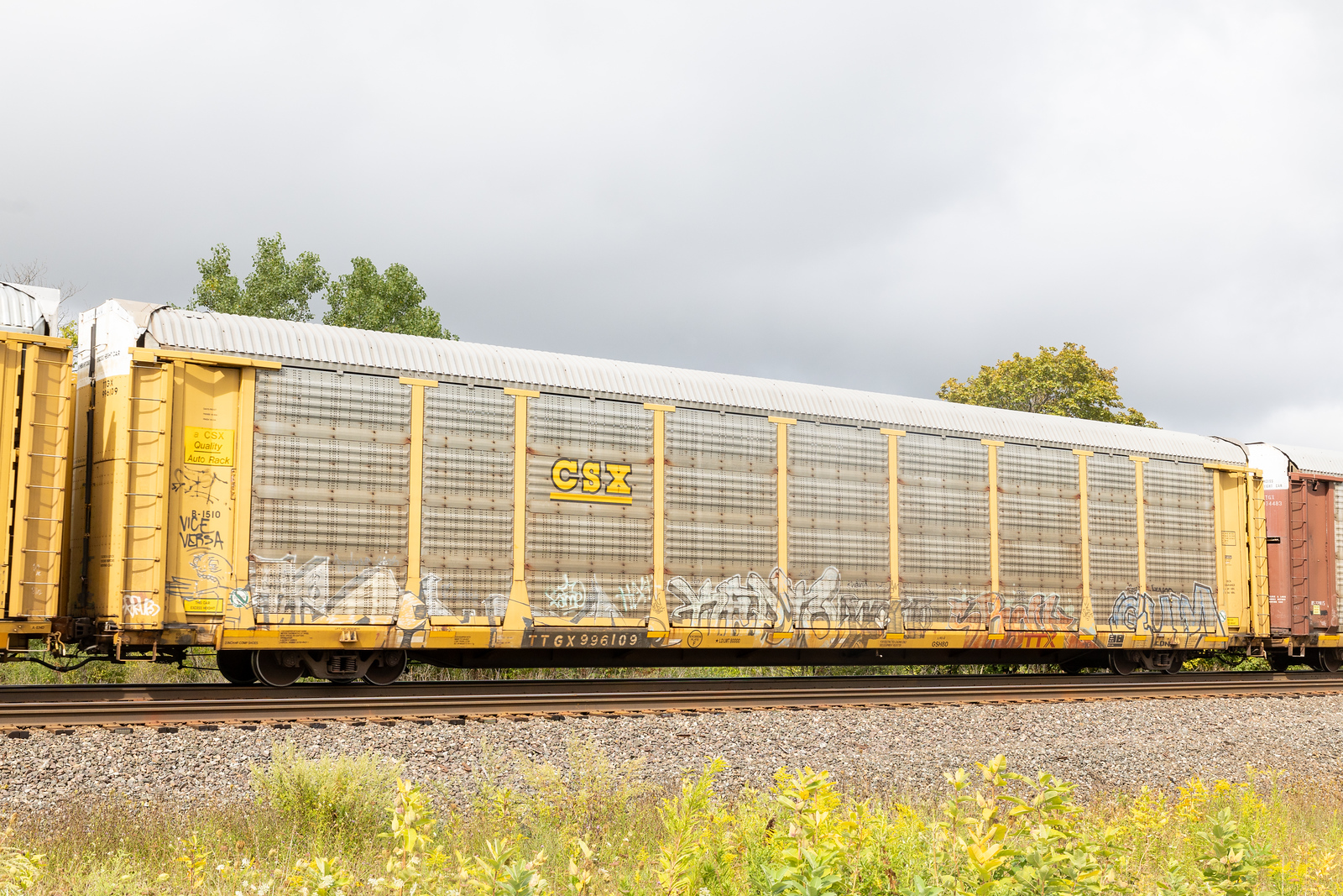 TTGX 996109