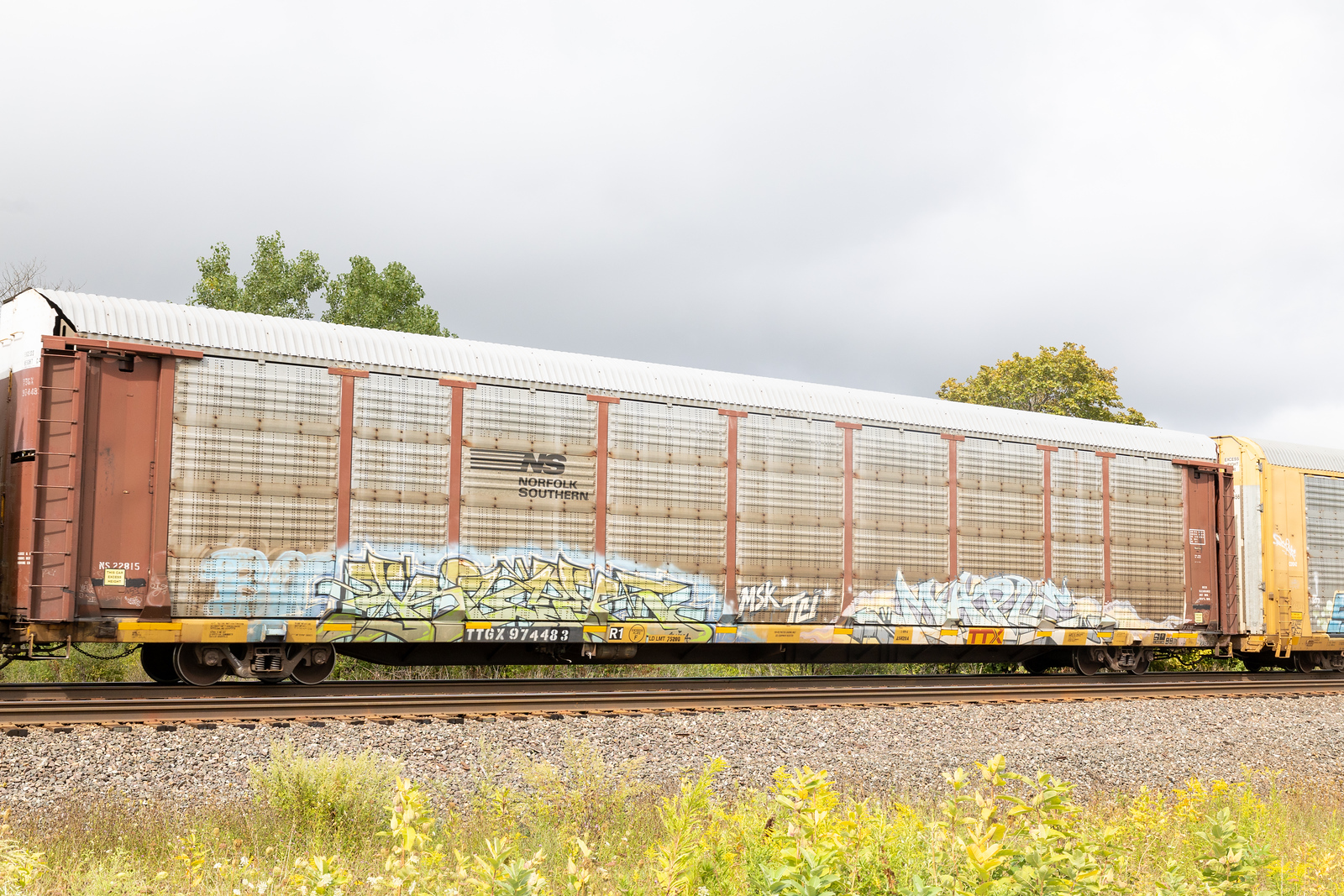 TTGX 974483