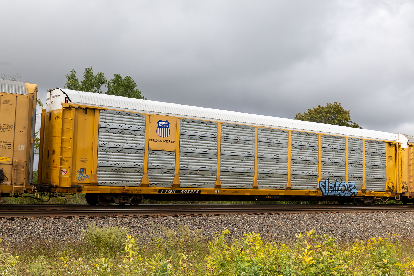 TTGX 993278