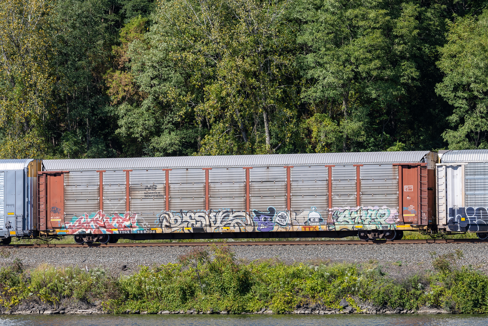 TTGX 980394