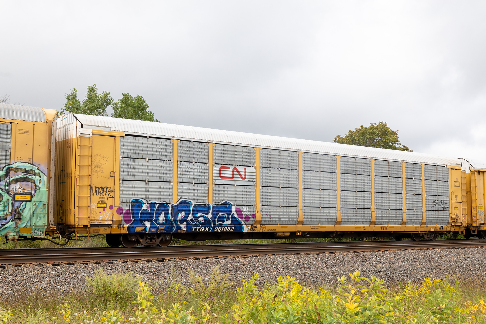 TTGX 691882