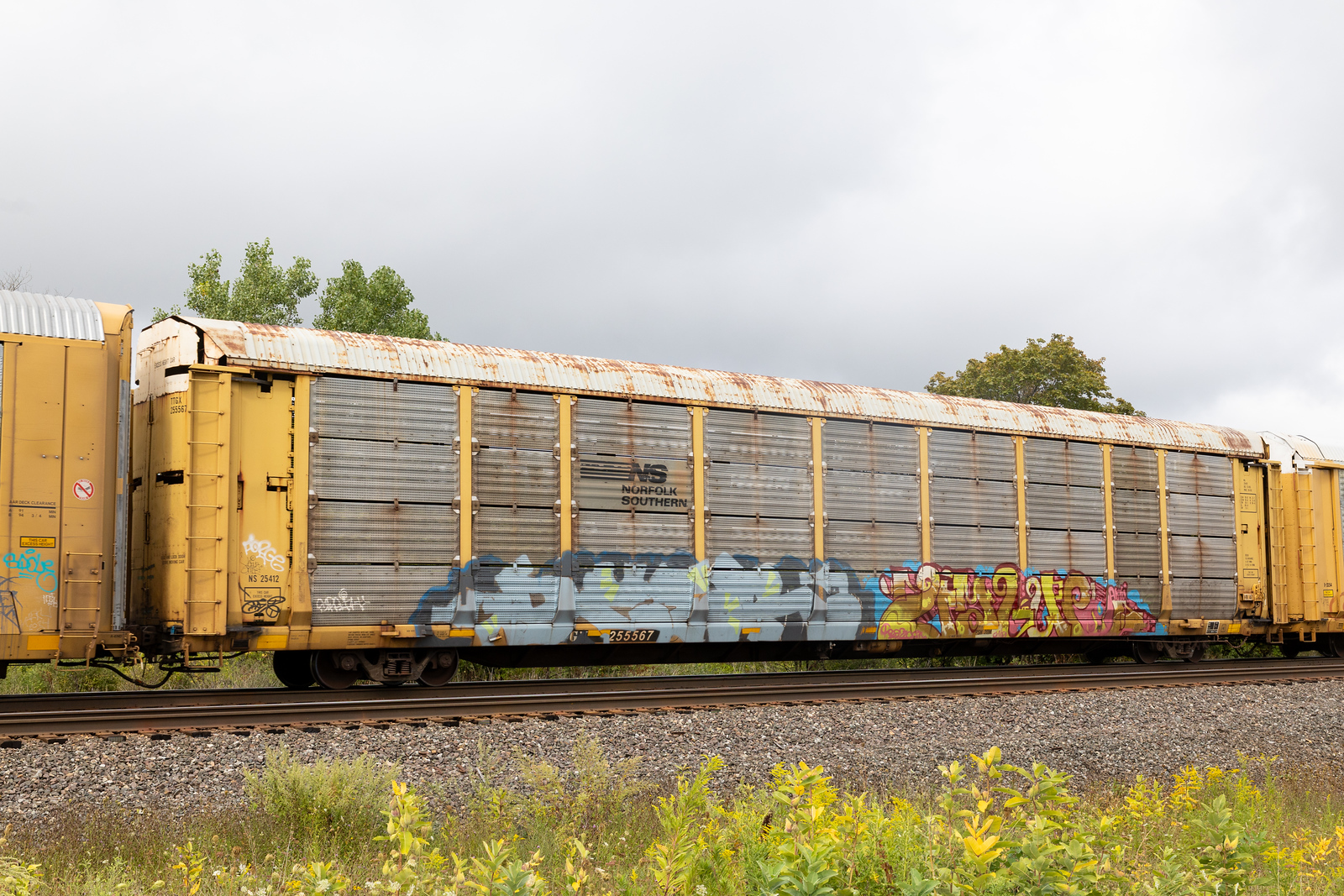 TTGX 255567