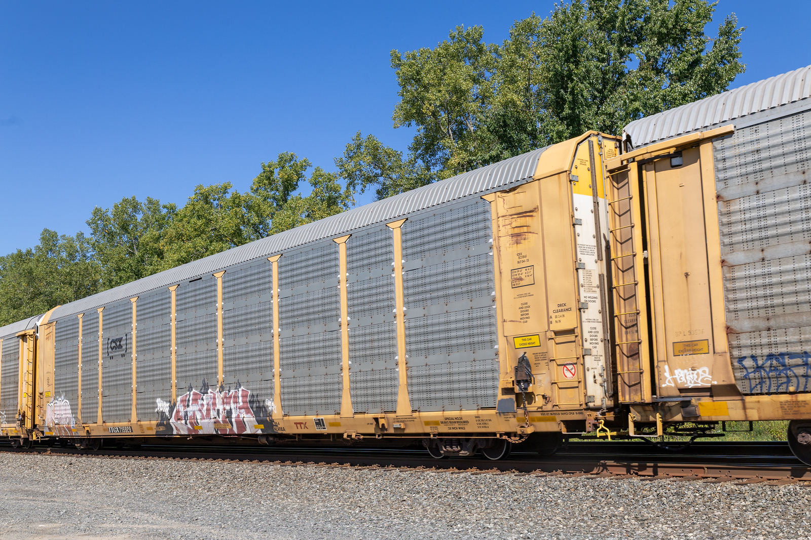 TTGX 715929