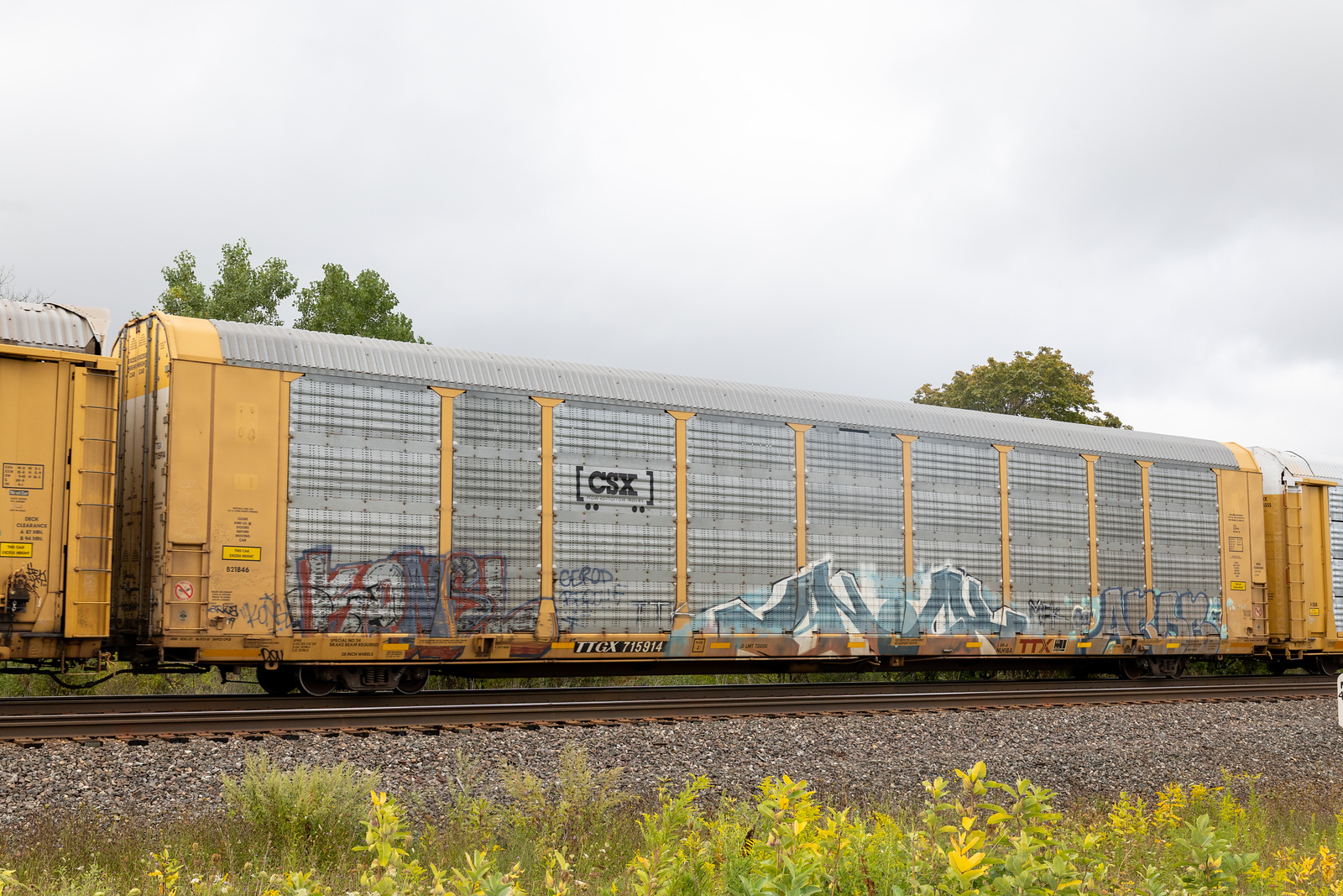 TTGX 715914