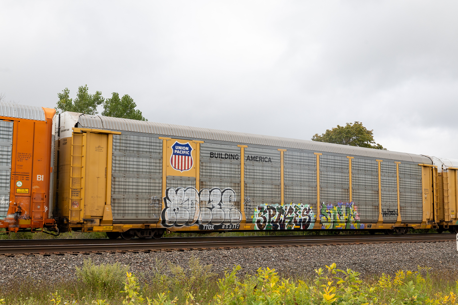 TTGX 853117