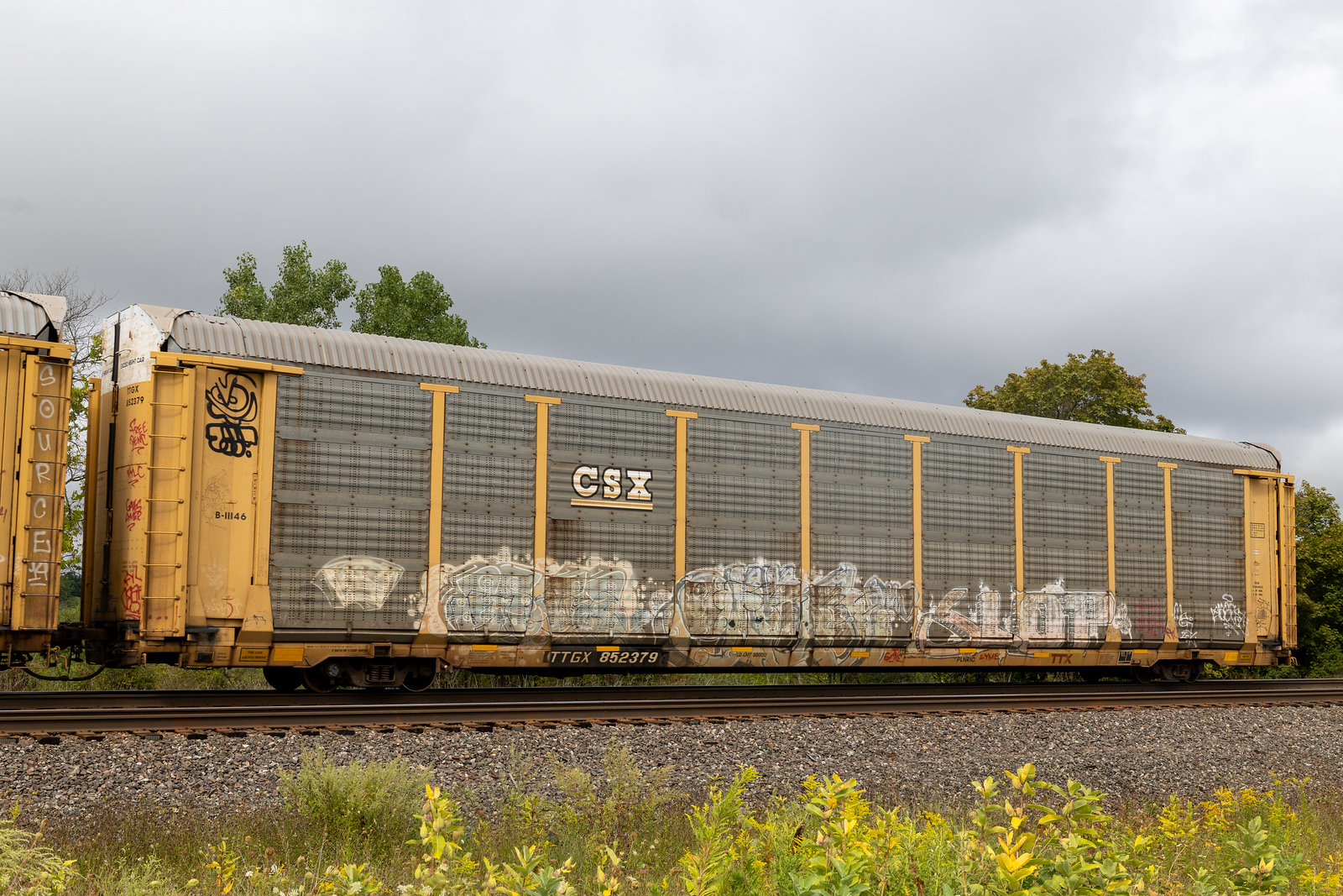 TTGX 852379