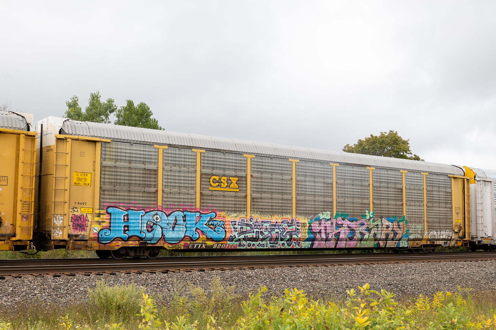 ETTX 820172