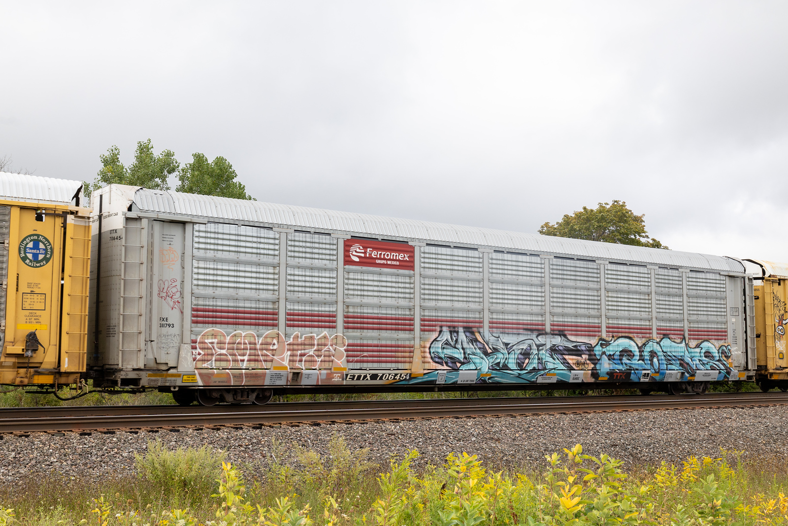 ETTX 706454