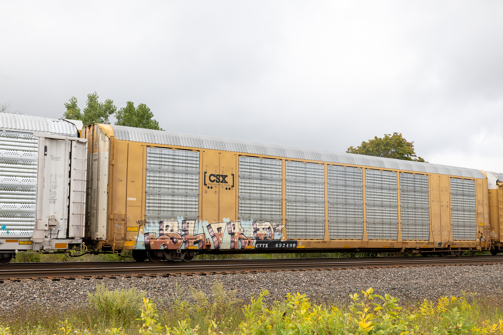 CTTX 692490