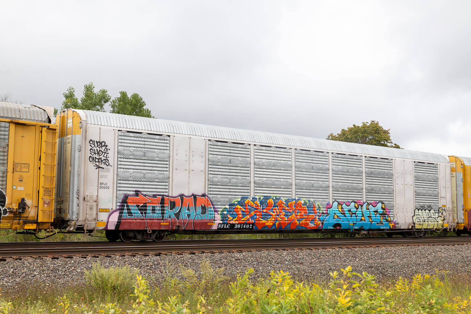 SFLC 307402