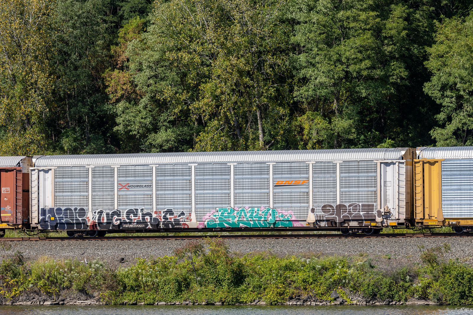 SFLC 300099