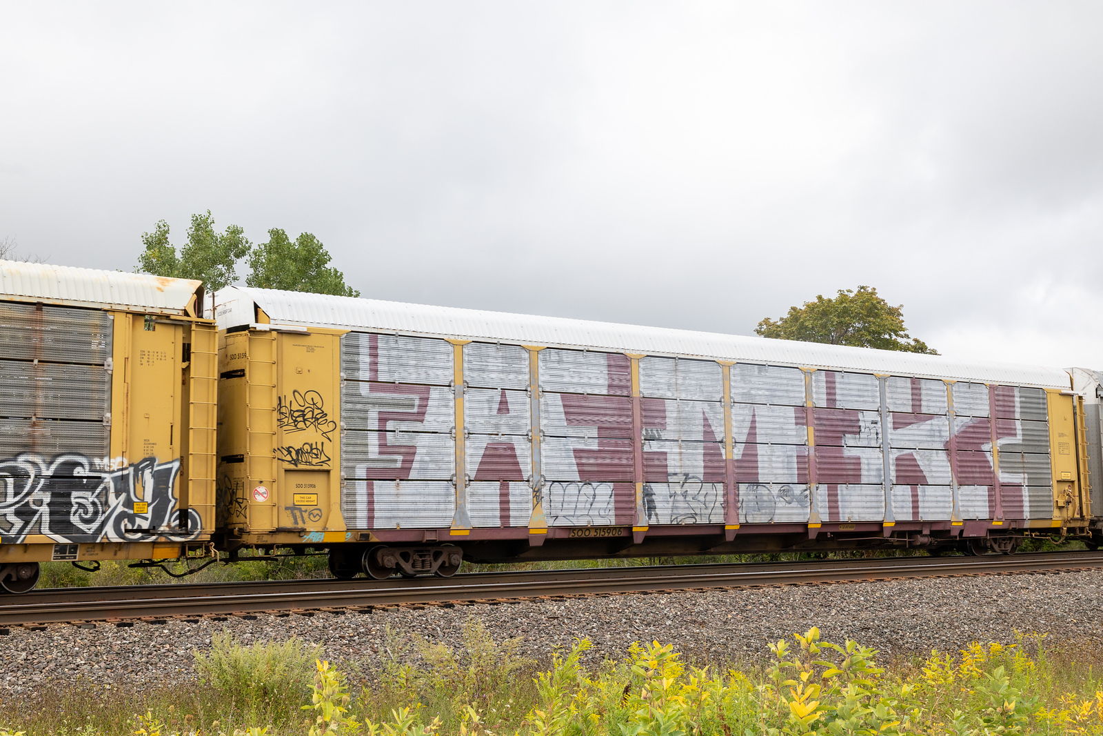 SOO 515906