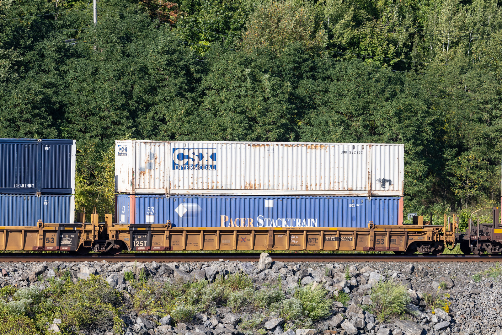 DTTX 790827B